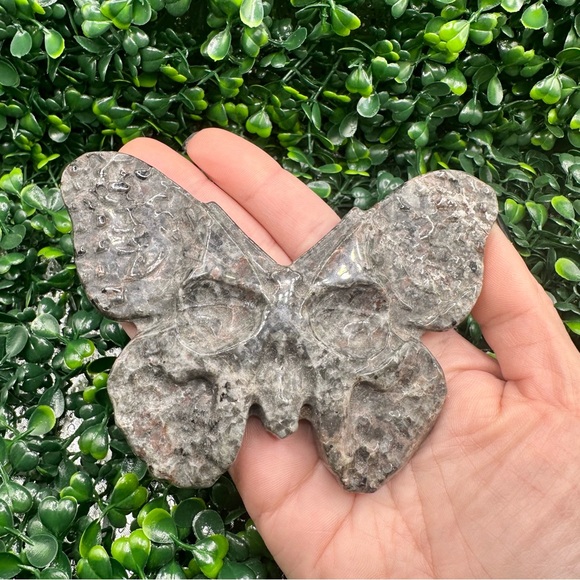 UV Reactive Yooperlite Butterfly Skull Carving - Picture 7 of 8